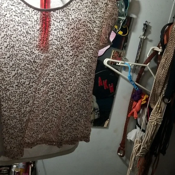 Charlotte Russell shirt small. Lite pinkish  Gold sequence - Picture 2 of 4